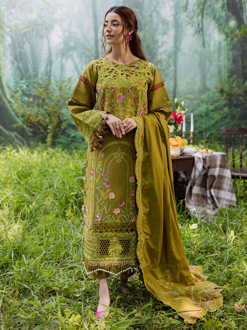 WW - 05 | 3 PC Khaddar